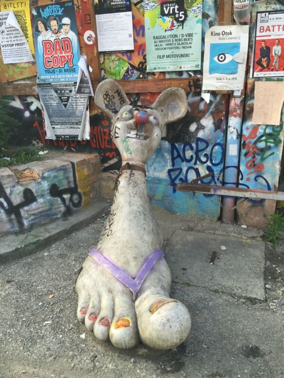 13522869_802449296523979_717174845504282347_o